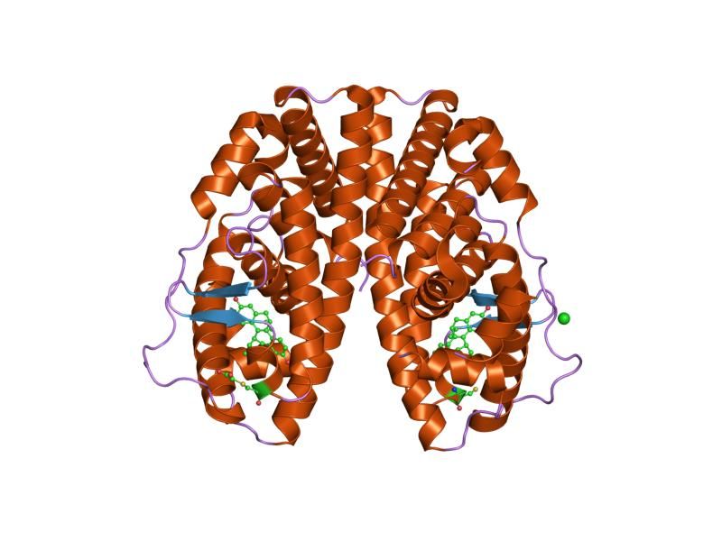 File:PDB 1l2i EBI.jpg