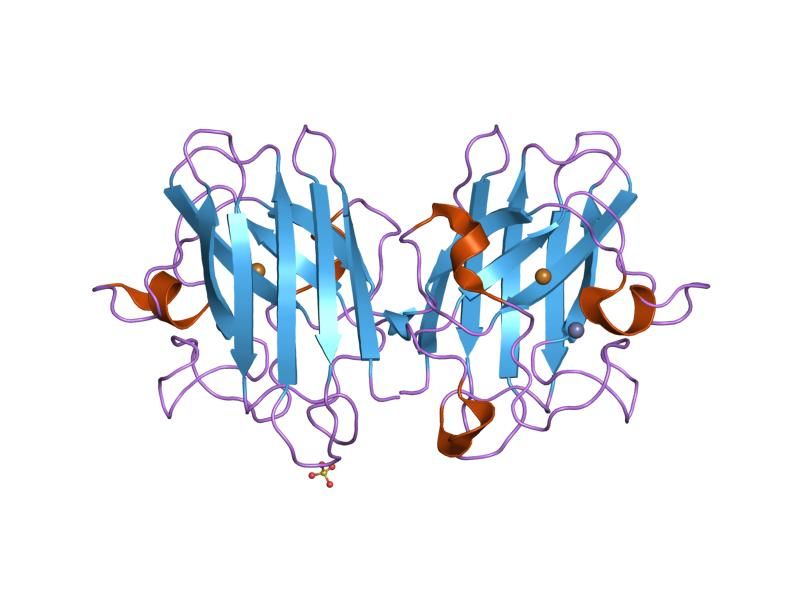 File:PDB 1n19 EBI.jpg