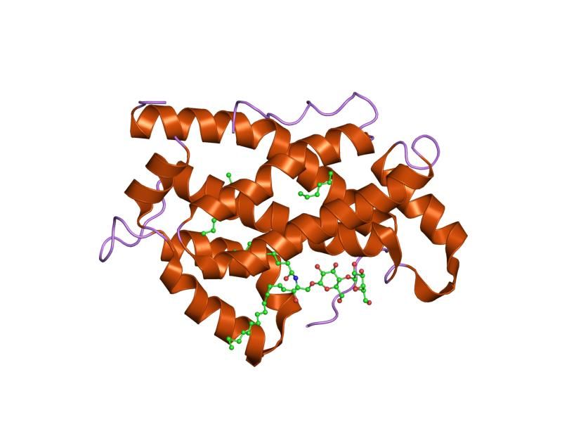 File:PDB 2evd EBI.jpg