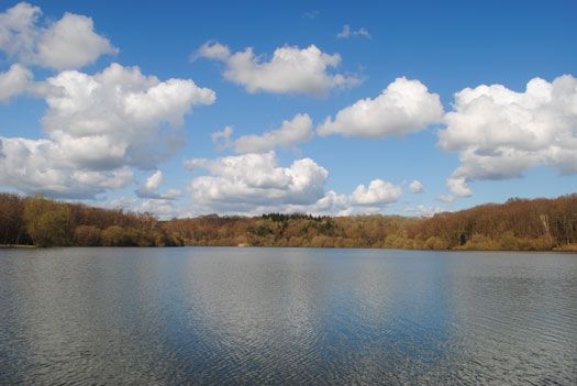 File:Powdermill Reservoir, East Sussex, April 2012.jpg