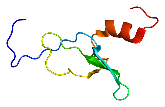 File:Protein CBX8 PDB 2dnv.png