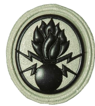 File:SANDF Qualification Demolitions Level Two badge embossed.png