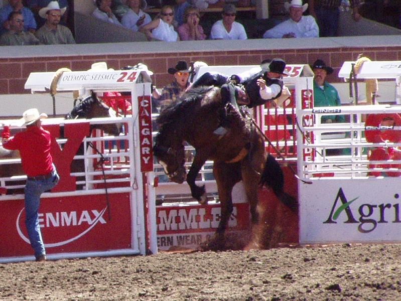 File:StampedeRodeo2002.JPG