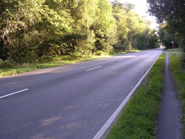 File:A35 in the New Forest.jpg