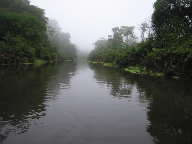 File:AMAZONAS.jpg