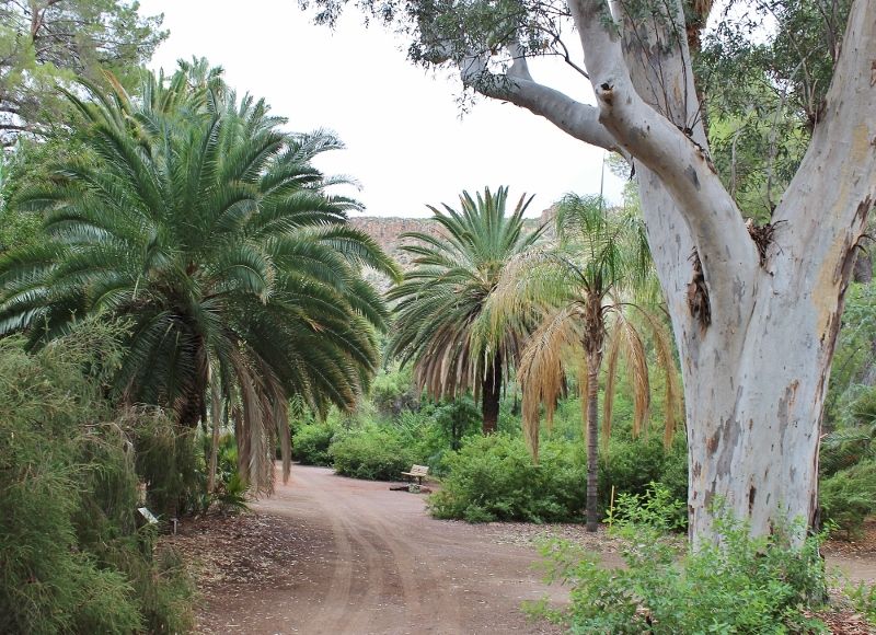 File:Boyce Thompson Arboretum trail..jpg