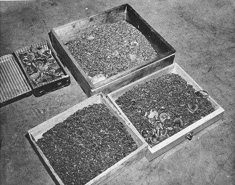 File:Buchenwald Teeth 74565.jpg