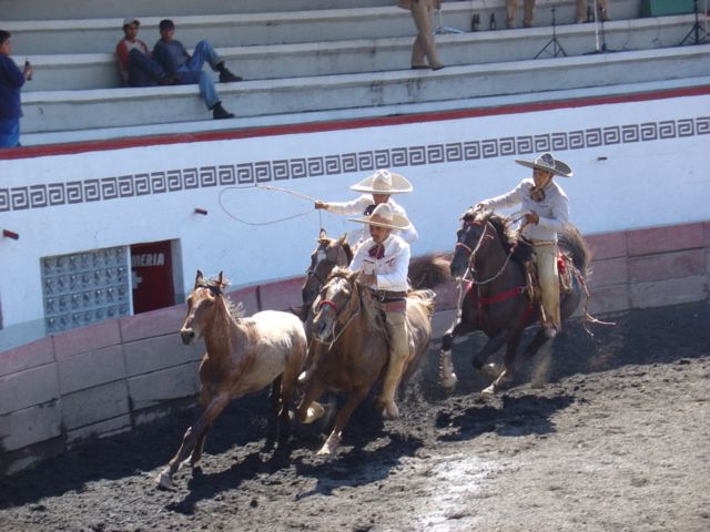 File:Charros competing in a charreada in Mexico.jpg