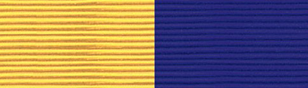 File:MTNG Physical Readiness Superior Ribbon.PNG