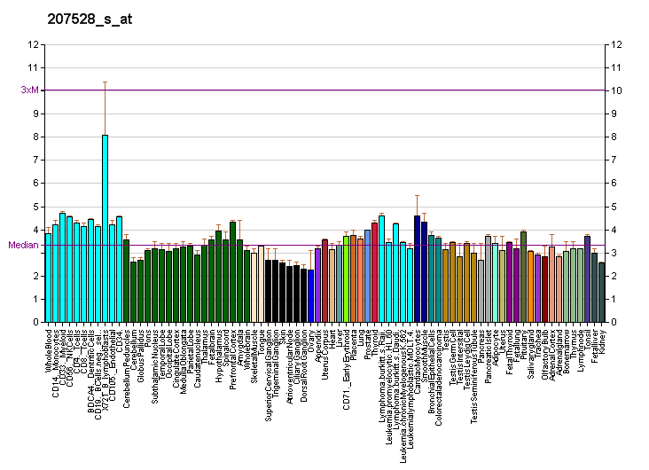 File:PBB GE SLC7A11 207528 s at fs.png