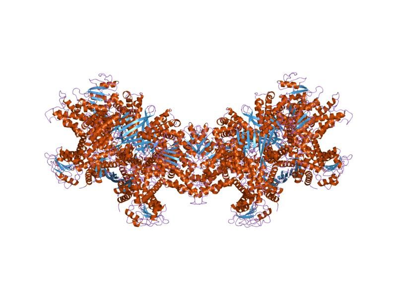 File:PDB 1nr7 EBI.jpg