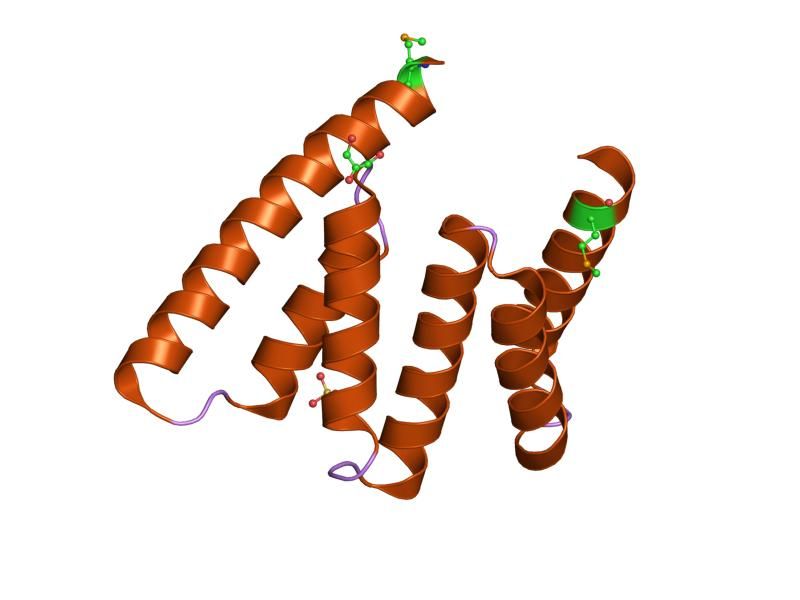 File:PDB 1nzn EBI.jpg