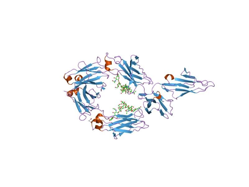 File:PDB 1t83 EBI.jpg