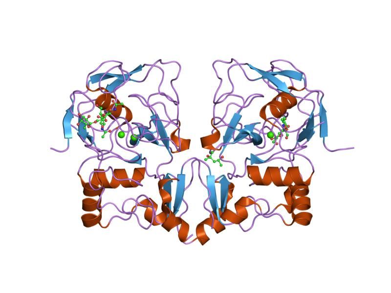 File:PDB 1y4j EBI.jpg