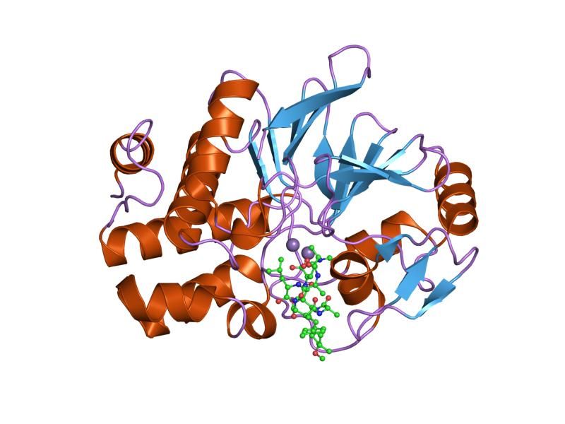 File:PDB 2bdx EBI.jpg