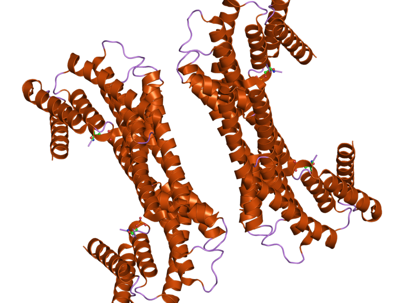 File:PDB 2c63 EBI.png