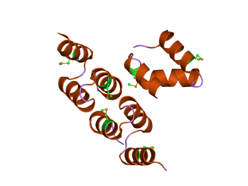 File:PDB 2oo9 EBI.png