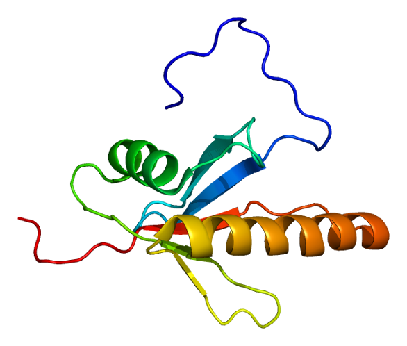 File:Protein MAP2K5 PDB 1wi0.png