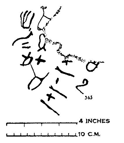 File:Romain Butin, Serabit el-Khadim inscriptions, 363.jpg