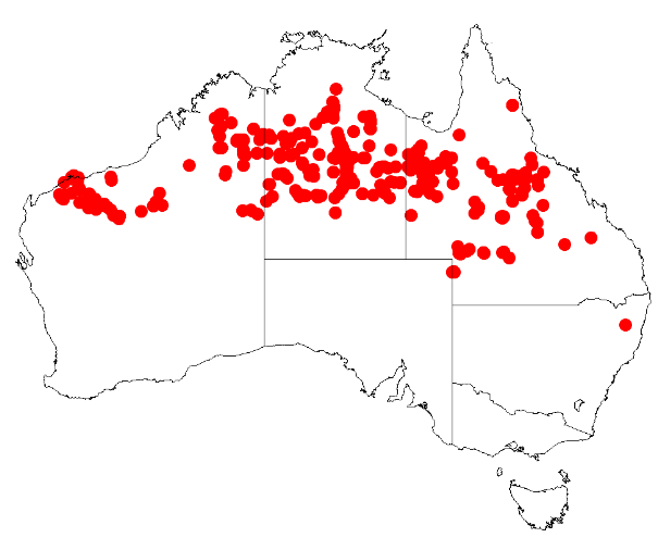 File:Acacia elachanthaDistMap319.png