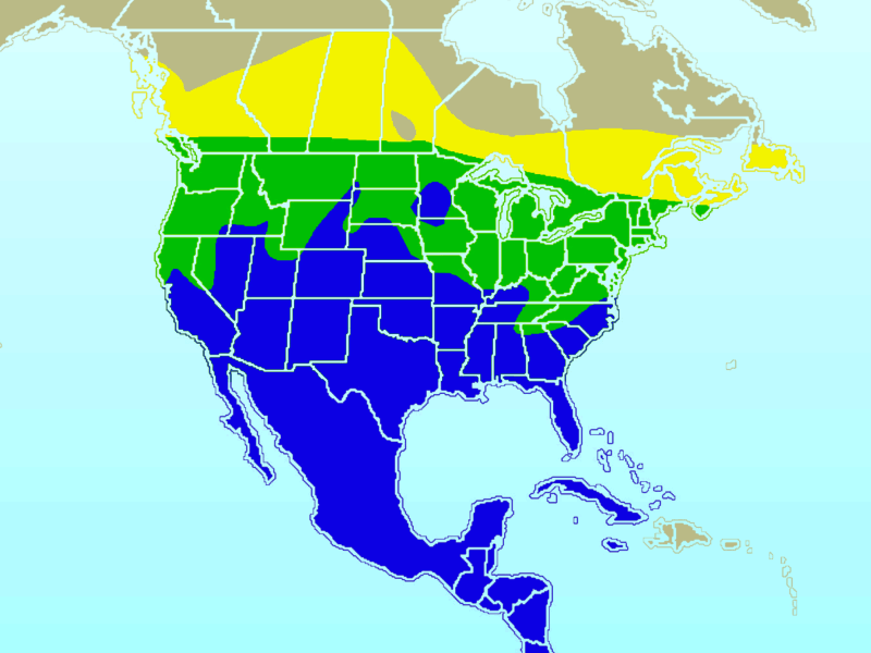 File:Cedar Waxwing-rangemap.png