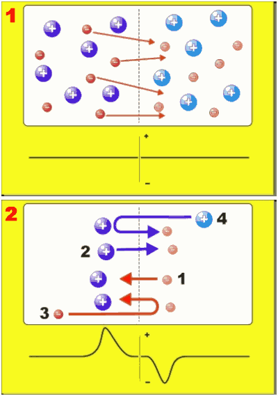 File:Double layer formation.png