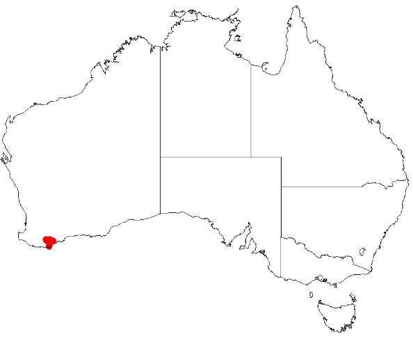 File:Isopogon latifolius Distribution.png