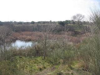 File:Lagunas de Perales.jpg