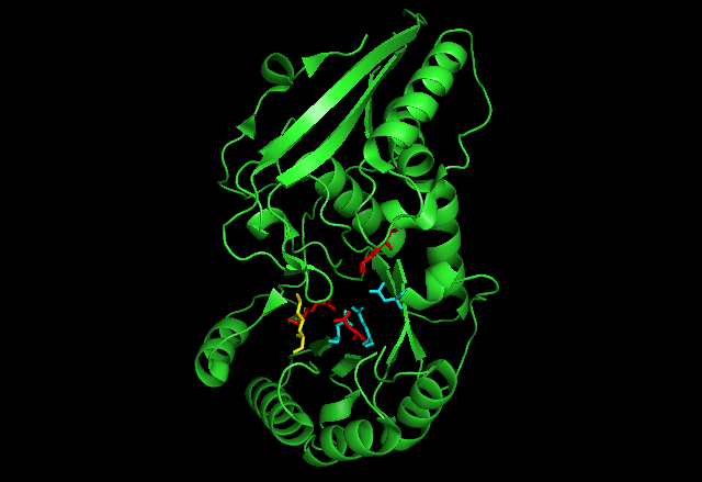 File:MenC with ligand.png