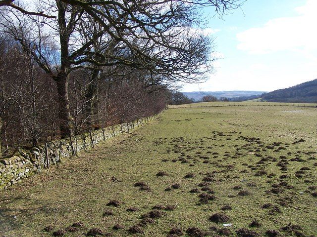 File:Molehill Country - geograph.org.uk - 140468.jpg