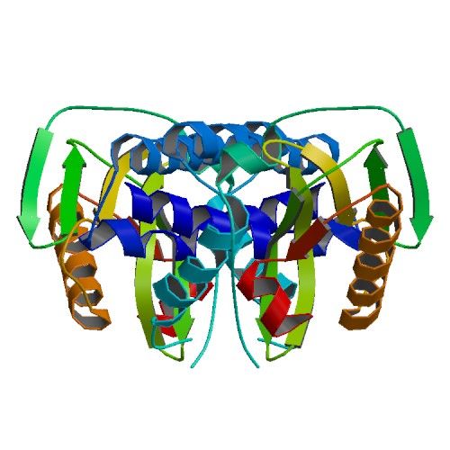 File:NS1 Dimer InfluenzaH5N1 3f5t bio r 500.jpg