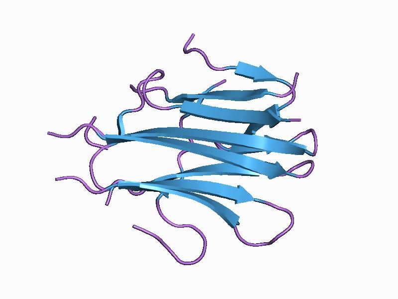 File:PDB 1d2q EBI.jpg