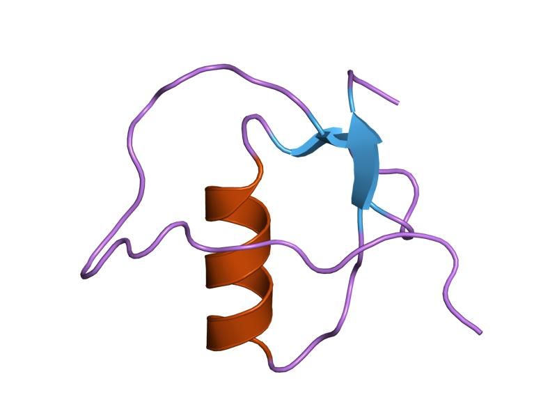 File:PDB 1hpt EBI.jpg