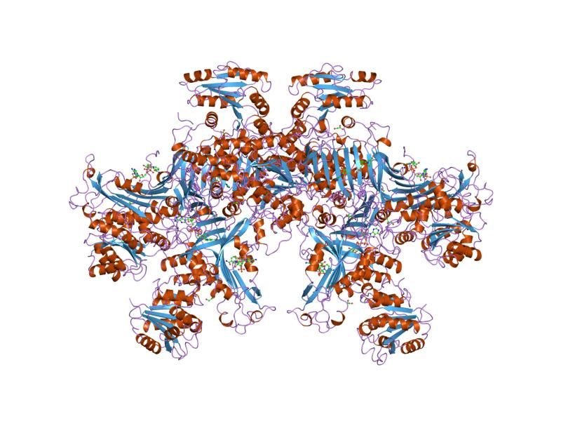 File:PDB 1qki EBI.jpg