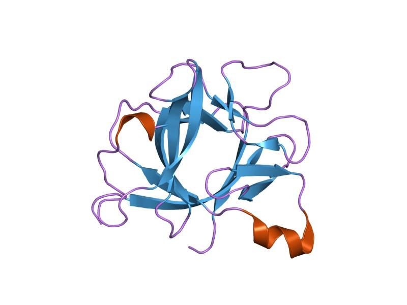 File:PDB 1too EBI.jpg