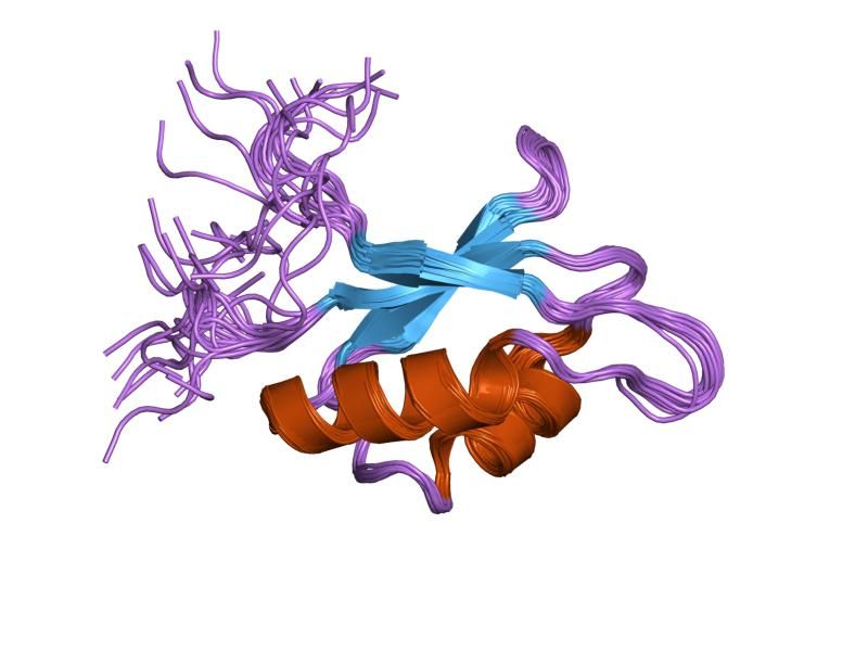 File:PDB 2bz2 EBI.jpg