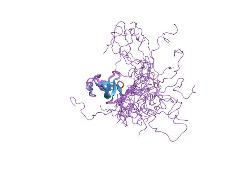 File:PDB 2coy EBI.jpg