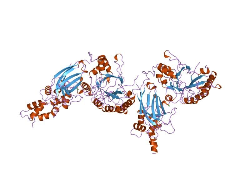 File:PDB 2isd EBI.jpg