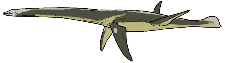 File:Plesiosaurus dolichodeirus.png