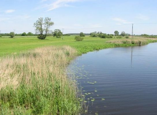 File:Rhin Wassersuppe.JPG