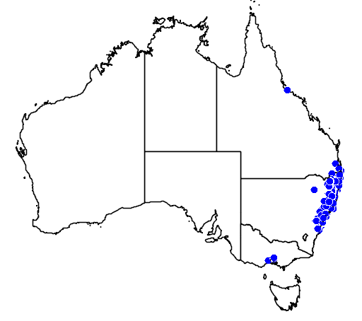 File:Triboniophorus graeffei map.png