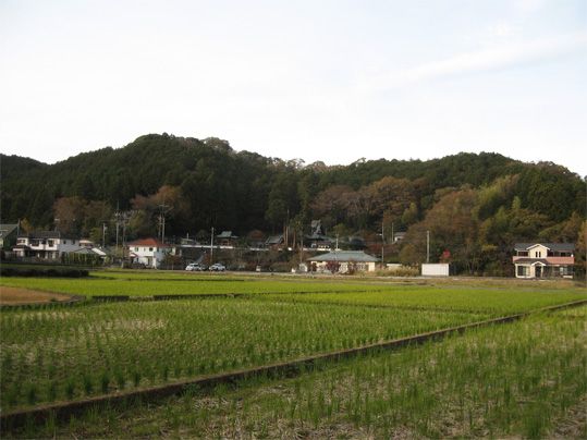 File:葛山城址全景.jpg