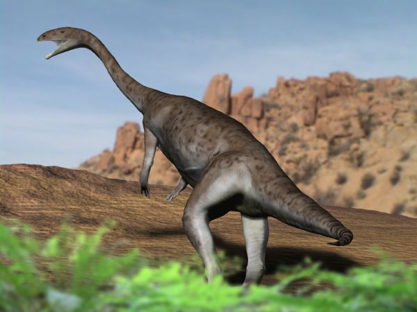 File:Anchisaurus NT.jpg