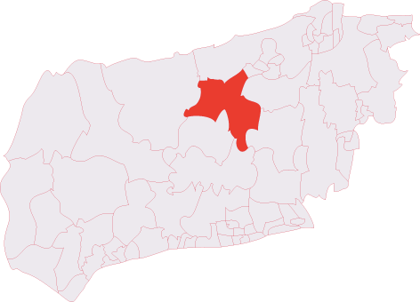 File:Billingshurst (electoral division).png