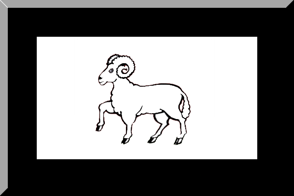 File:Derby County footie flag.png