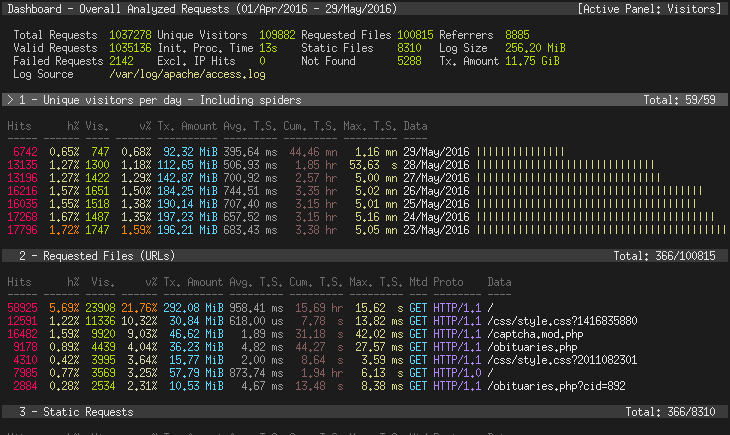 File:GoAccess terminal.png