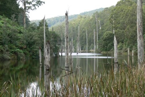 File:Lake elizabeth.jpg