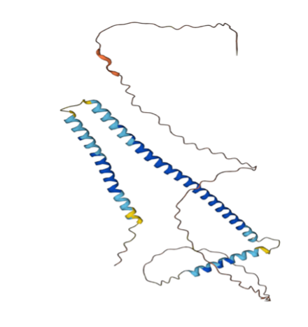 File:NBPF26 Tertiary Structure.png