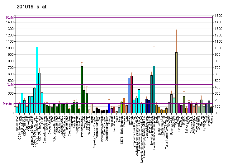 File:PBB GE EIF1AX 201019 s at fs.png