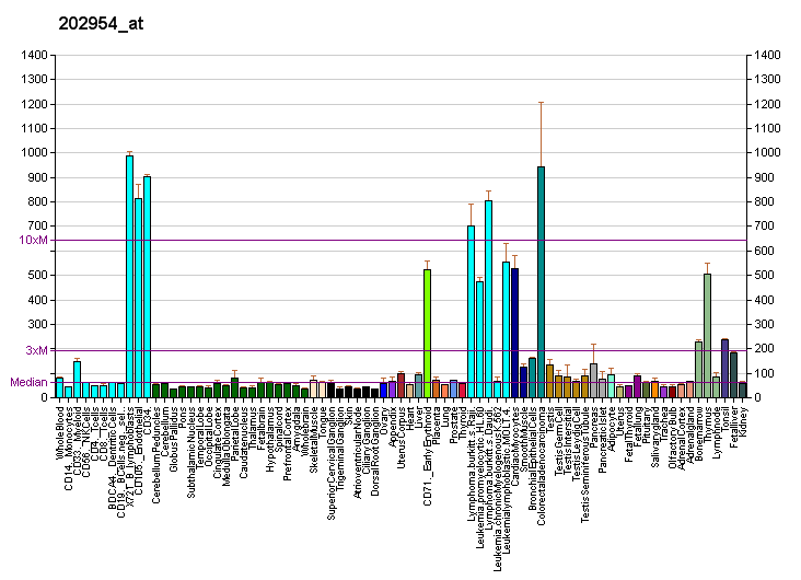 File:PBB GE UBE2C 202954 at fs.png